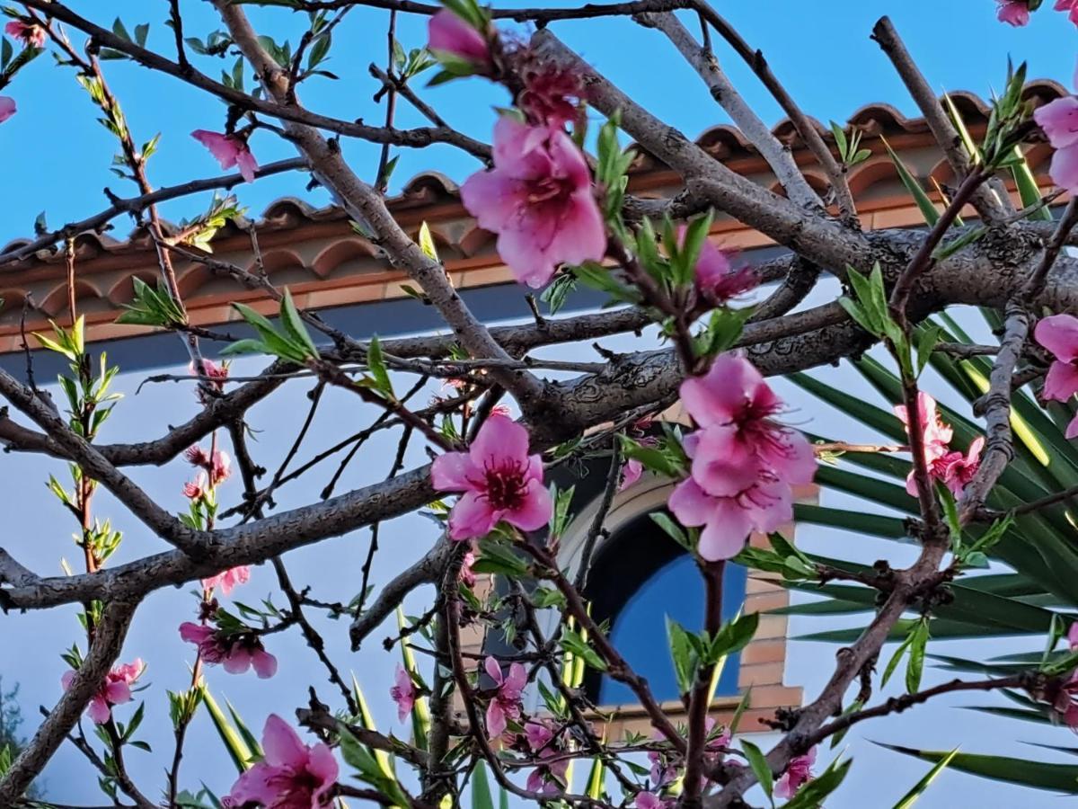 Maison Les Agapanthes Villeneuve-lès-Béziers 외부 사진